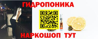 прущие грибы Партизанск